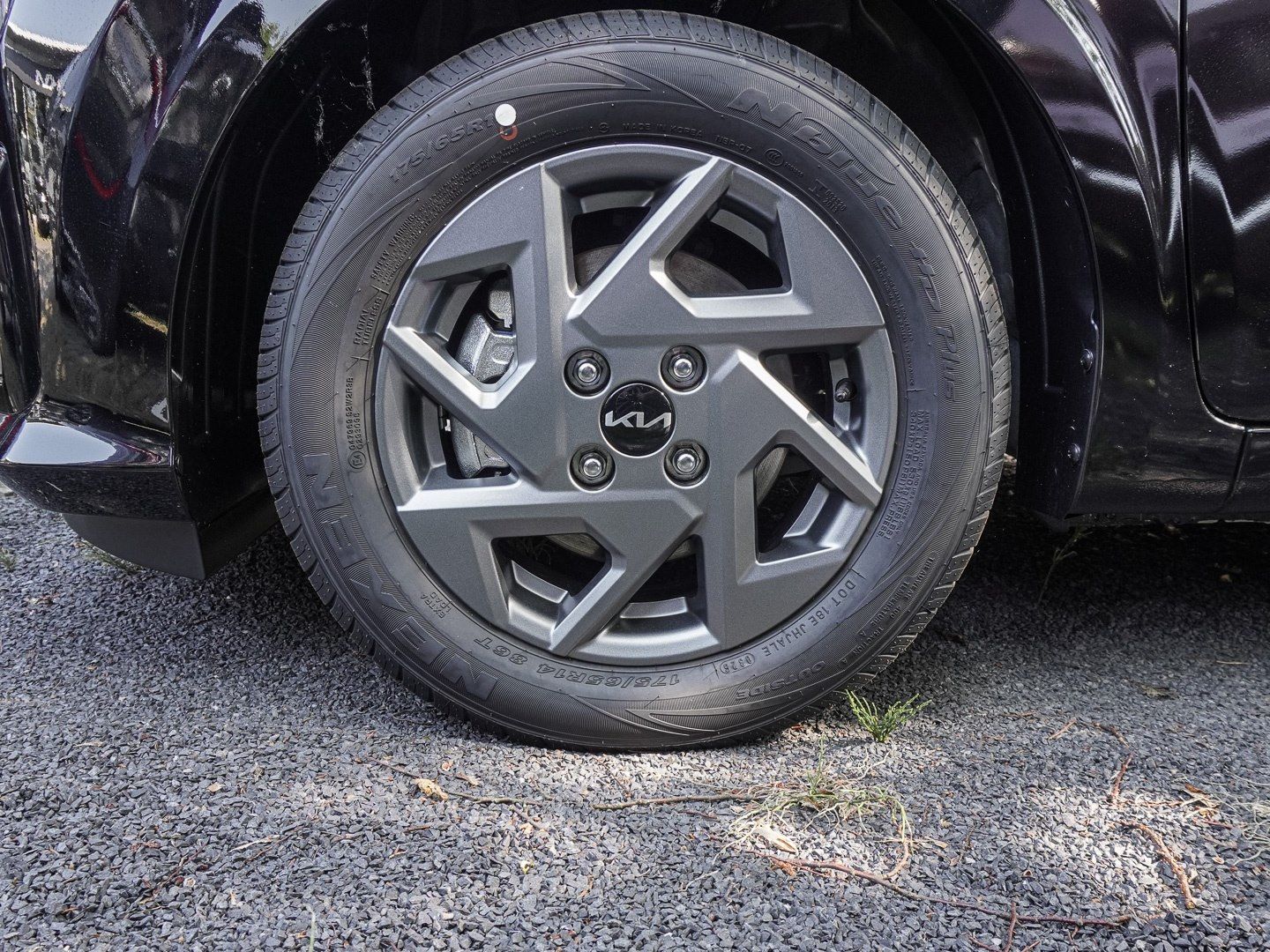 Kia Picanto - Bild 3