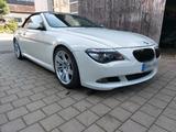 BMW 650i Cabrio /  V8  / - BMW 650 aus 2008