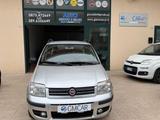 Fiat Panda 1.2 Emotion 69 cv benzina ok neopate. - Fiat Panda Emotion mit Benzin-Antrieb