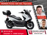 Honda NSS125 Forza - HONDA FORZA 125
