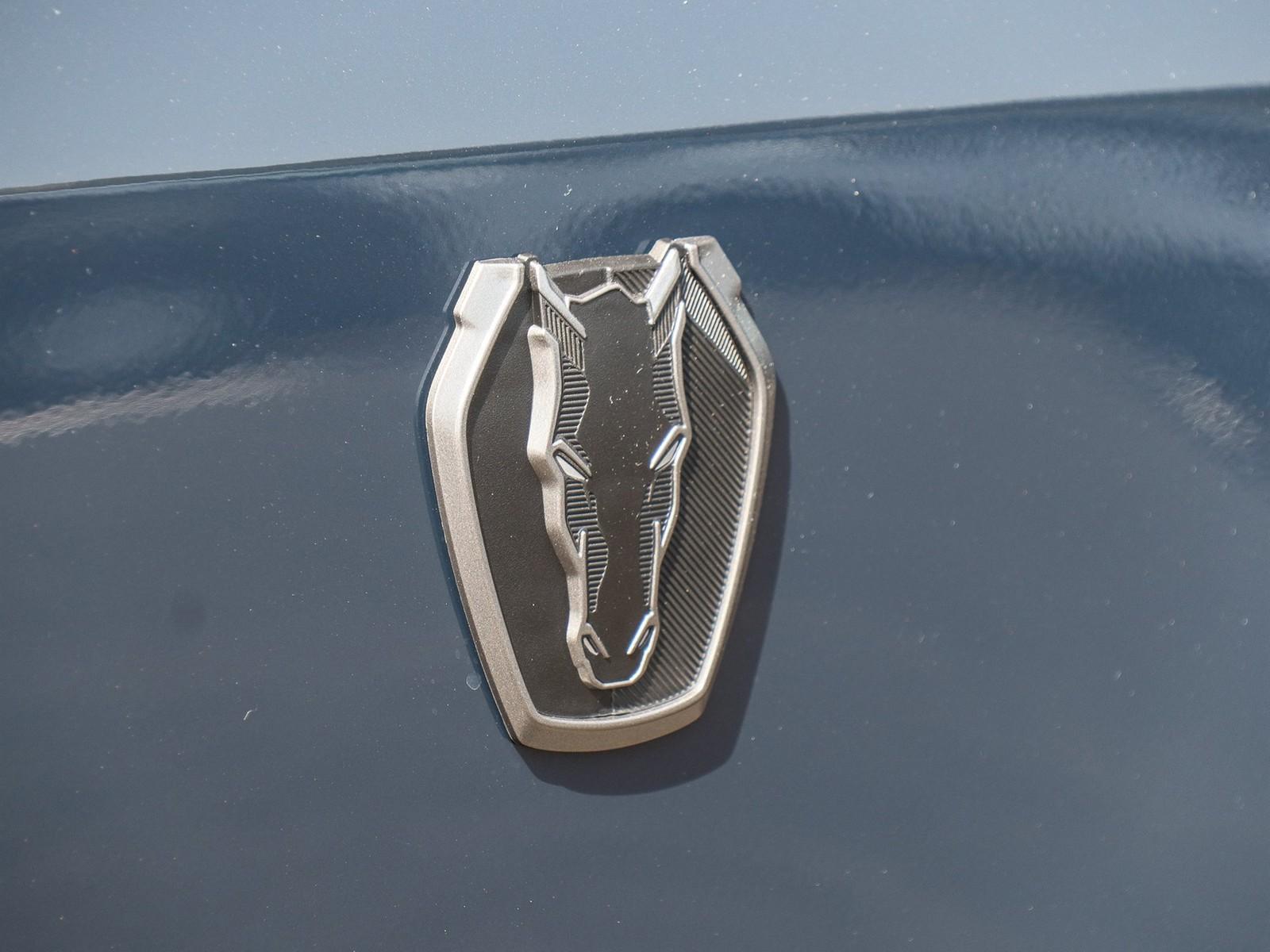 Ford Mustang Fastback Dark Horse 5.0 V8  (453 PS) Aut