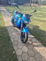 Gilera DNA 50 Roller  Top Zustand Blau Metallic  - GILERA MOTORRAD