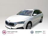 Skoda Octavia Combi Ambition 4x4 2.0 TDI, Business Col - Skoda Octavia: Business