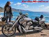 Harley-Davidson V-Rod Muscle *5HD1/Jekill+Hyde/1.Hand/260er* - Motorräder in Frankfurt