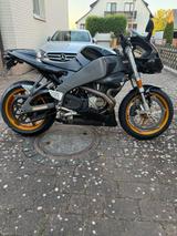 Buell XB12R Firebolt - BUELL SPORTLER