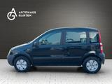 Fiat Panda 1.1 8V Active 2.Hand Scheckheft - gebrauchte Fiat Panda aus dem Jahr 2006