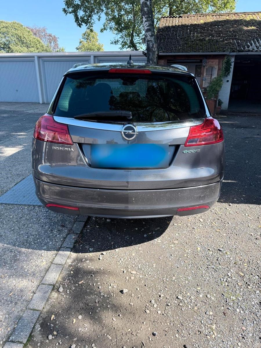 Opel Insignia 2011 — rear view