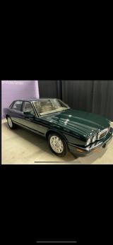 Jaguar XJ8 V8  - Jaguar XJ8 in Köln