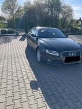 Audi A5 Sportback 2.7 TDI Aut. - Audi A5 aus 2009: Sportback