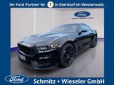 Ford Mustang Shelby GT350 533PS Brembo Kamera - Ford Mustang: Shelby Gt350