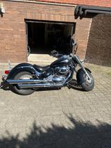 Suzuki VL 800 - Offers matching your search criteria