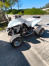 Dinli 450 - DINLI QUAD