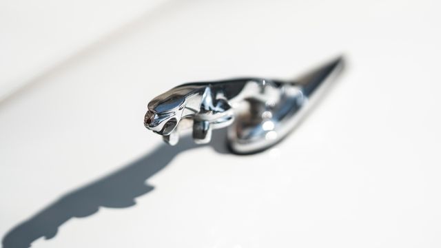 Fahrzeugabbildung Jaguar XJS/Einzigartiger Sammlerzustand+Erstlack