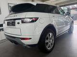 Land Rover Range Rover Evoque SE Dynamic - Land Rover Range Rover Evoque in Wiesbaden
