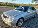 Mercedes-Benz Mercedes Benz E270 CDI - Mercedes-Benz E 270: Sitzbelüftung