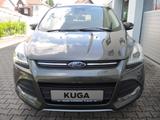 Ford Kuga Sync Edt*Bi-Xenon*KeyFree*TechPkt*WinterPkt - Ford Kuga Sync Gebrauchtwagen