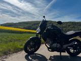Yamaha Gladius SFV 650 - Angebote