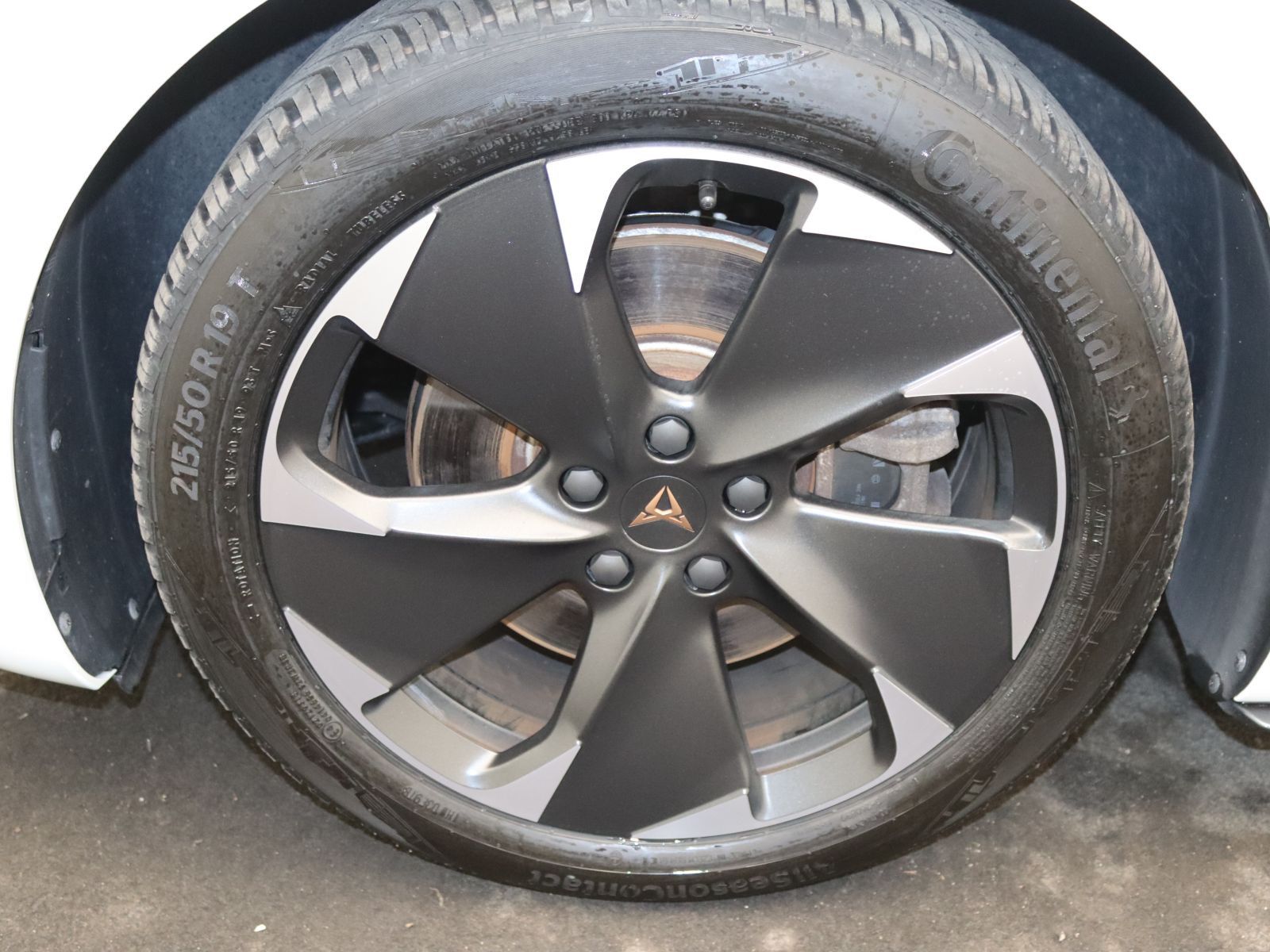 Cupra Born - Bild 17