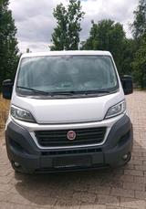 Fiat Geschlossener Kasten, Bus /Kleinbus - : Kleinbus, Klein