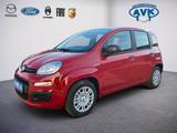 Fiat Pandina Icon MY26, Klimaanlage, Tempomat, PDC - Fiat Panda Neuwagen