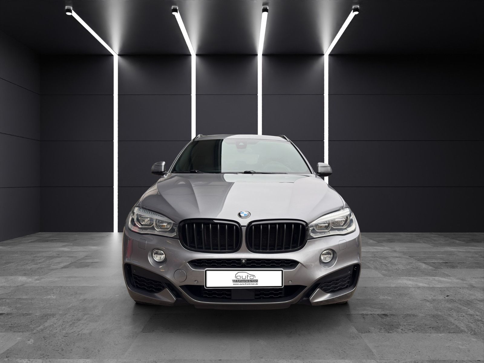 Fahrzeugabbildung BMW X6 xDrive 50 i/Msport/H&K/Head-UP/Rkü/Export