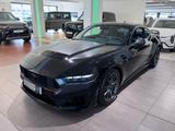 Ford Mustang 5.0 Ti-VCT V8 Auto Dark Horse - Ford Mustang in Hagen