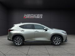Lexus NX 450h+ Business (E-Four)  *Klimaautomatik*Adap