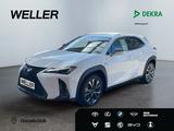 Lexus UX 250h F SPORT Design *Bi-LED*ACC*RCam*SHZ*PDC*