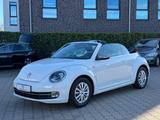 Volkswagen Beetle Cabriolet*Karmann*Bi-Xenon*Klima*Navi* - : Cabrio, Karmann