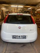 Fiat Punto 1.2 8V //TÜV NEU-07/27// sehr sparsam  - Fiat Punto in Bochum