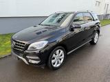 Mercedes-Benz ML 350 CDI BT*NAVI*DISTR*STHZ*KAM*AHK*OFROAD*ILS - Mercedes-Benz ML 350 Gebrauchtwagen in Stuttgart