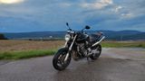 Honda CB 900 f Hornet  sc48 - HONDA CB 900 HORNET