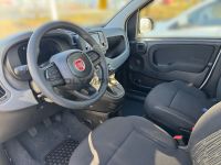 Fiat Panda MY25 Hybrid 1.0 GSE KLIMA TOUCH DAB PDC BT - Image