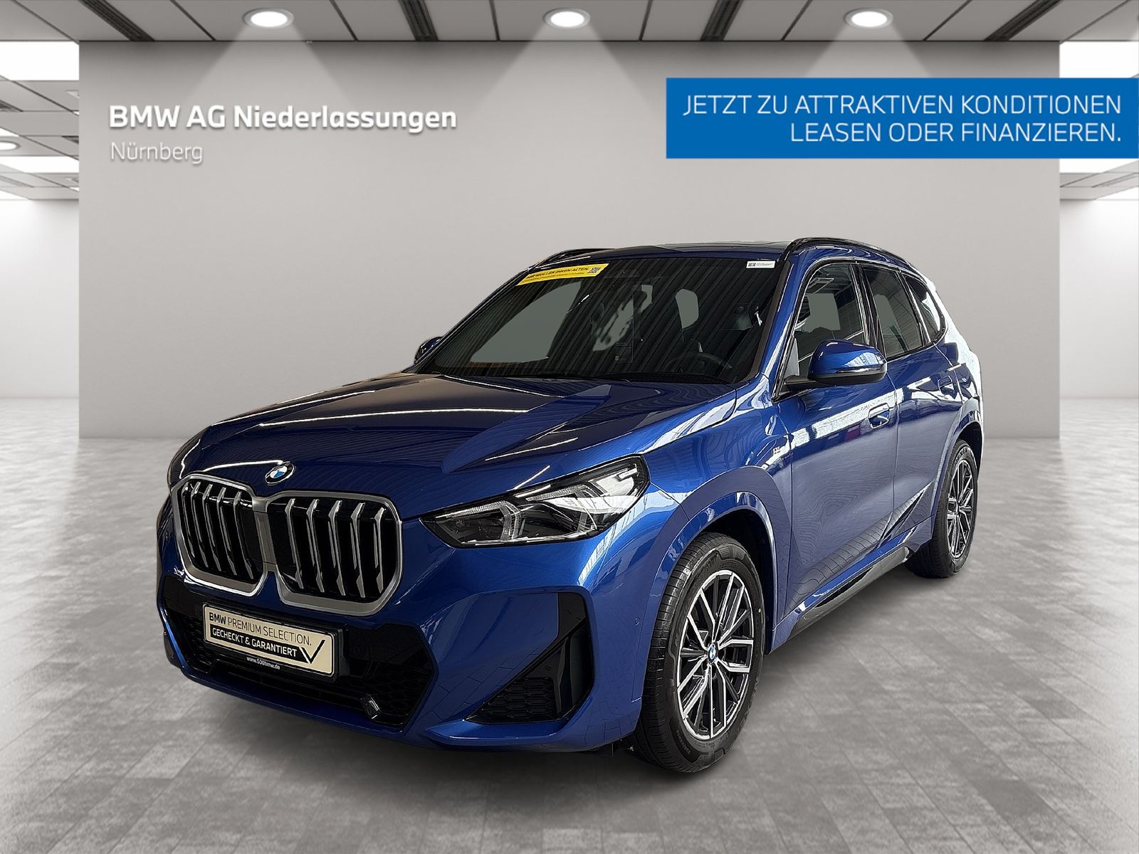 BMW X1 sDrive20d M Sport Kamera Pano.Dach LED Alarm