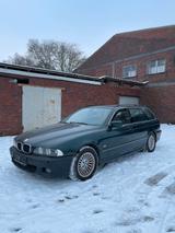 BMW 530d E39 Touring  Scheunenfund  Sthz... - BMW 530: Kombi, 530d E39