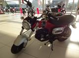 Honda ST125 DAX "Aktionspreis" - Offers matching your search criteria