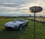 Cobra Repl. VHD-Viper Ford V8 (Cooke), H-Kennz. - Cobra: Roadster