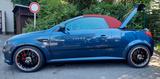 Opel dbilas Opel Tigra Twin Top Illusion - Opel Tigra: Roadster