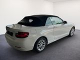 BMW 218i Cabrio/16Z/KLIMA-AUTO/ - BMW: 16