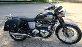 Triumph Bonneville T100 - Angebote