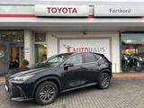 Lexus NX450h+ 4x4 Business - Navi, PDC, Leder, TW, SZ - schwarze Lexus NX 450h