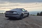 Ford Mustang GT 5.0 I RECARO I MagneRide I B&O I Man. - Ford Mustang: I