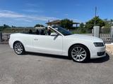 Audi A5 Cabrio 2.0 TDI 170cv Ambition S-line - Audi A5: TDI 170