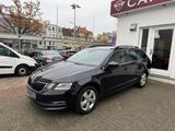 Skoda Octavia Combi 2.0 TDI DSG Business-Paket - Skoda Octavia: Business