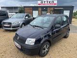 Fiat New Panda 1.1 8V Active - blaue Fiat New Panda