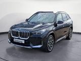 BMW X1 sDrive20i Navi Driving Pro Leder 19' - BMW X1: 20i