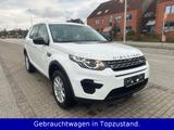 Land Rover Discovery Sport Pure - Land Rover Discovery in Kiel
