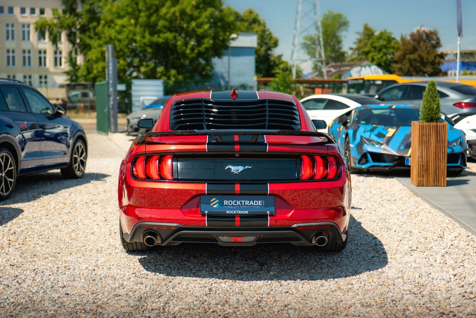 Fahrzeugabbildung Ford Mustang Shelby Coupe GT 350 Package Dark Horse
