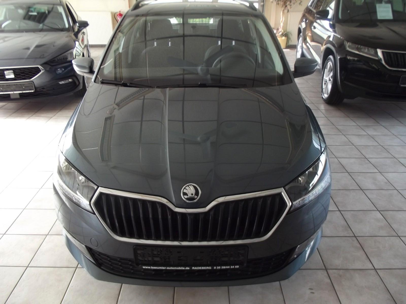 Skoda Fabia 1.0l TSI KLIMA/SITZHEIZUNG/PDC/ALUFELGEN