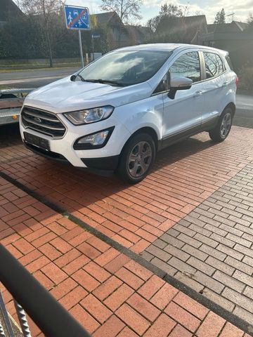 Ford Ekosport.1.OL.Bj2019. 6.500 (Festpre...